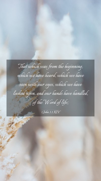 Picture 03 - 1 John 1:1 KJV Mobile Phone Wallpaper - That which was from the beginning, which we have - Mobile Bible Verse Wallpaper