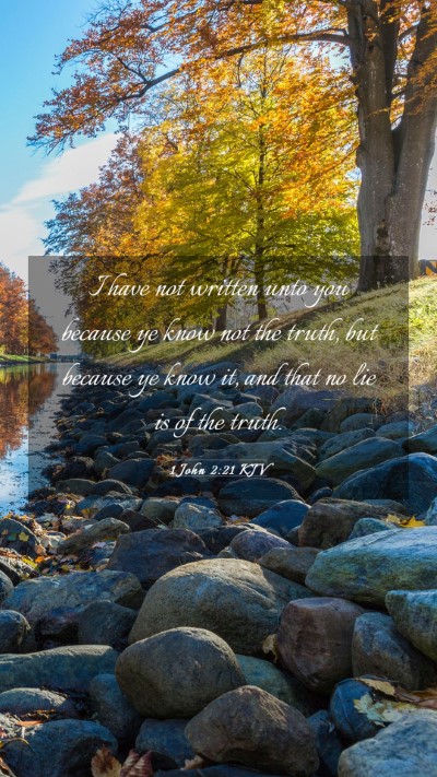 Picture 03 - 1 John 2:21 KJV Mobile Phone Wallpaper - I have not written unto you because ye know not - Mobile Bible Verse Wallpaper