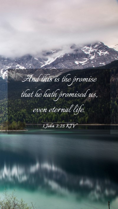 Picture 03 - 1 John 2:25 KJV Mobile Phone Wallpaper - And this is the promise that he hath promised us, - Mobile Bible Verse Wallpaper