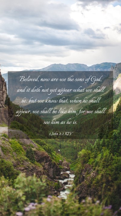 Picture 03 - 1 John 3:2 KJV Mobile Phone Wallpaper - Beloved, now are we the sons of God, and it doth - Mobile Bible Verse Wallpaper