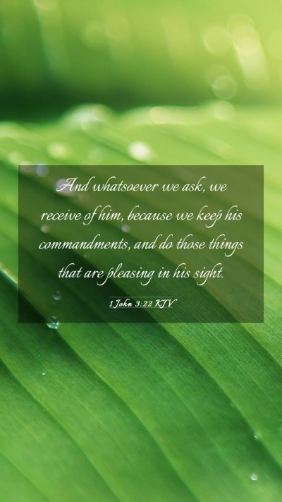 Picture 03 - 1 John 3:22 KJV Mobile Phone Wallpaper - And whatsoever we ask, we receive of him, because - Mobile Bible Verse Wallpaper