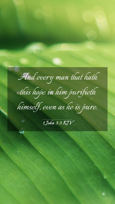Picture 03 - 1 John 3:3 KJV Mobile Phone Wallpaper - And every man that hath this hope in him - Mobile Bible Verse Wallpaper