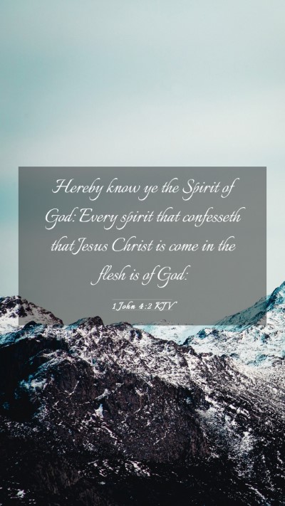 Picture 03 - 1 John 4:2 KJV Mobile Phone Wallpaper - Hereby know ye the Spirit of God: Every spirit - Mobile Bible Verse Wallpaper