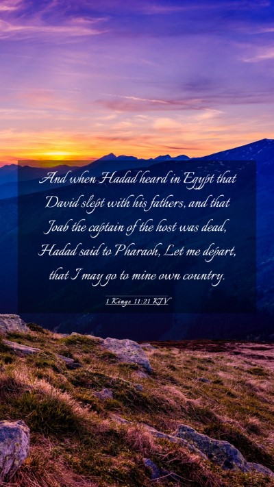 Picture 03 - 1 Kings 11:21 KJV Mobile Phone Wallpaper - And when Hadad heard in Egypt that David slept - Mobile Bible Verse Wallpaper