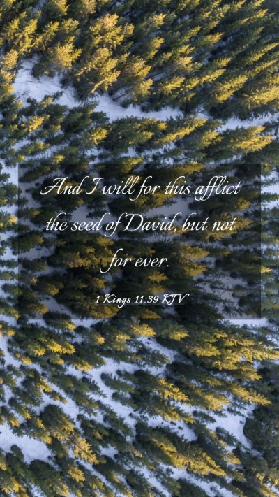 Picture 03 - 1 Kings 11:39 KJV Mobile Phone Wallpaper - And I will for this afflict the seed of David, - Mobile Bible Verse Wallpaper