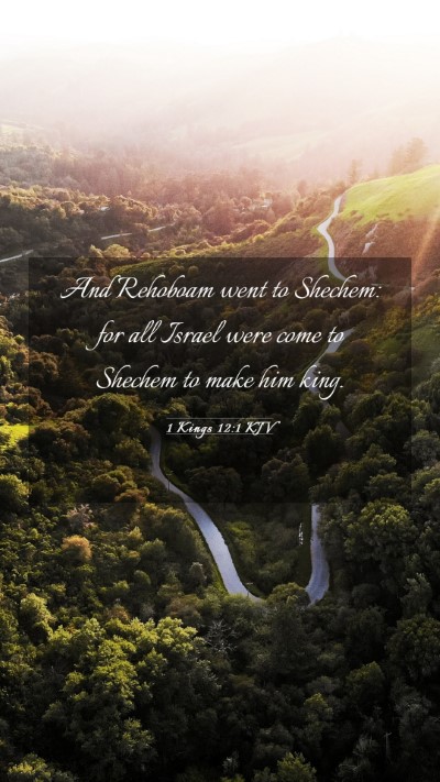 Picture 03 - 1 Kings 12:1 KJV Mobile Phone Wallpaper - And Rehoboam went to Shechem: for all Israel were - Mobile Bible Verse Wallpaper