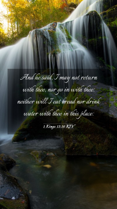 Picture 03 - 1 Kings 13:16 KJV Mobile Phone Wallpaper - And he said, I may not return with thee, nor go - Mobile Bible Verse Wallpaper
