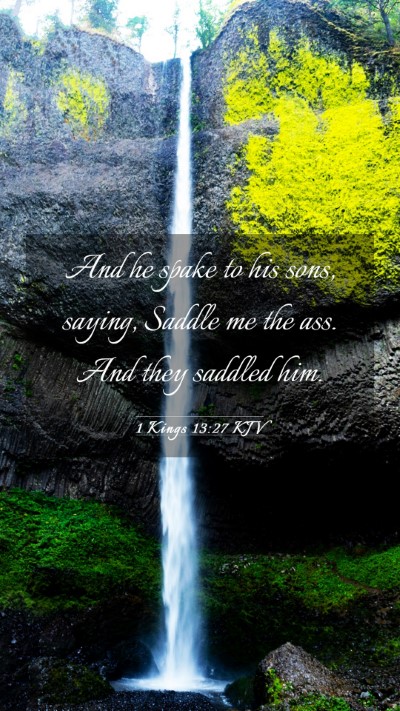 Picture 03 - 1 Kings 13:27 KJV Mobile Phone Wallpaper - And he spake to his sons, saying, Saddle me the - Mobile Bible Verse Wallpaper