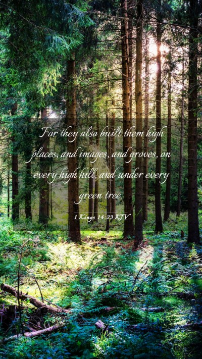 Picture 03 - 1 Kings 14:23 KJV Mobile Phone Wallpaper - For they also built them high places, and images, - Mobile Bible Verse Wallpaper