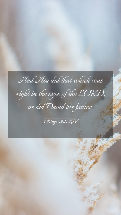 Picture 03 - 1 Kings 15:11 KJV Mobile Phone Wallpaper - And Asa did that which was right in the eyes of - Mobile Bible Verse Wallpaper