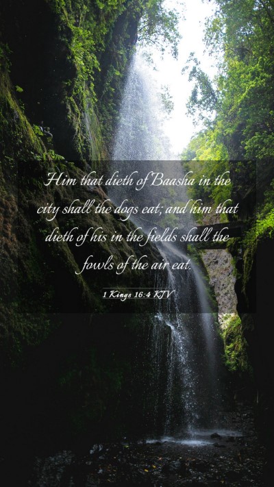 Picture 03 - 1 Kings 16:4 KJV Mobile Phone Wallpaper - Him that dieth of Baasha in the city shall the - Mobile Bible Verse Wallpaper