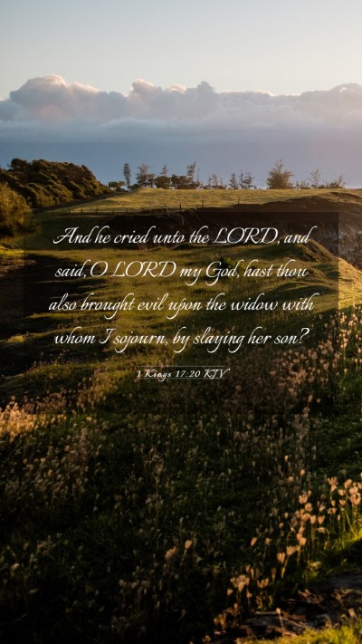 Picture 03 - 1 Kings 17:20 KJV Mobile Phone Wallpaper - And he cried unto the LORD, and said, O LORD my - Mobile Bible Verse Wallpaper