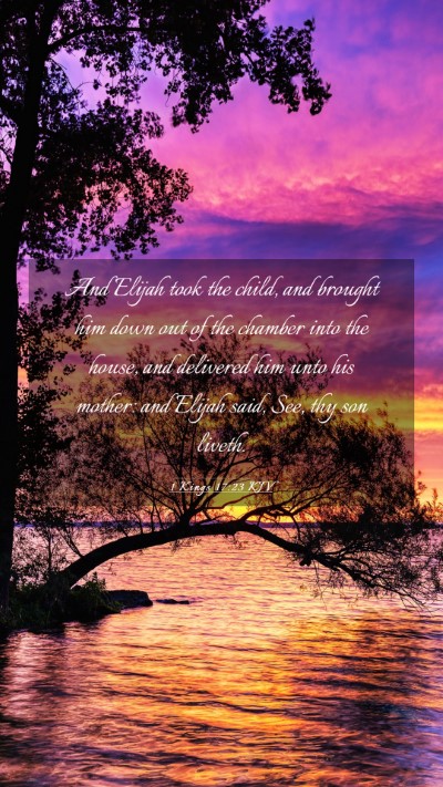 Picture 03 - 1 Kings 17:23 KJV Mobile Phone Wallpaper - And Elijah took the child, and brought him down - Mobile Bible Verse Wallpaper