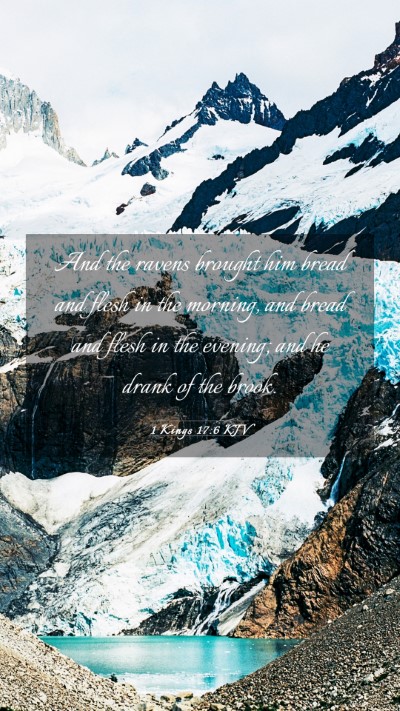 Picture 03 - 1 Kings 17:6 KJV Mobile Phone Wallpaper - And the ravens brought him bread and flesh in the - Mobile Bible Verse Wallpaper