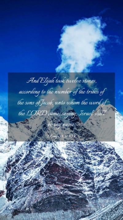 Picture 03 - 1 Kings 18:31 KJV Mobile Phone Wallpaper - And Elijah took twelve stones, according to the - Mobile Bible Verse Wallpaper