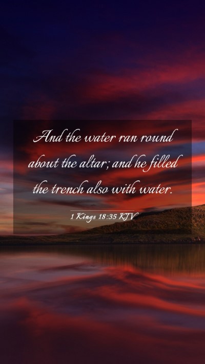 Picture 03 - 1 Kings 18:35 KJV Mobile Phone Wallpaper - And the water ran round about the altar; and he - Mobile Bible Verse Wallpaper