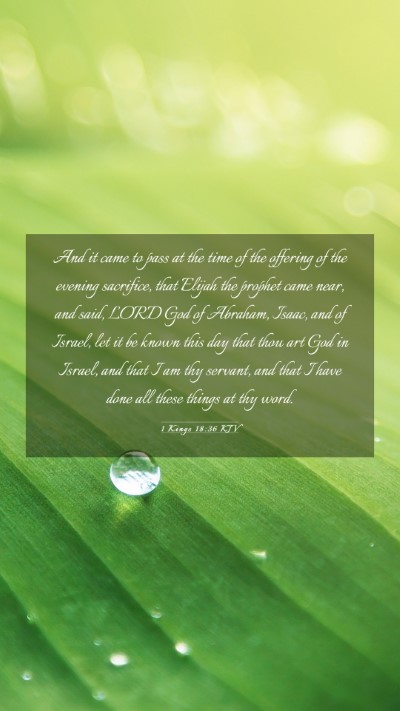 Picture 03 - 1 Kings 18:36 KJV Mobile Phone Wallpaper - And it came to pass at the time of the offering - Mobile Bible Verse Wallpaper