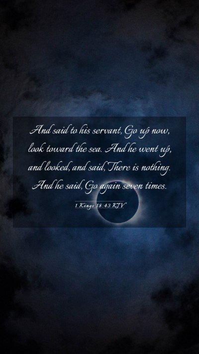 Picture 03 - 1 Kings 18:43 KJV Mobile Phone Wallpaper - And said to his servant, Go up now, look toward - Mobile Bible Verse Wallpaper