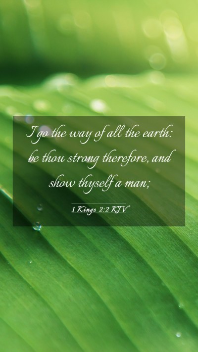 Picture 03 - 1 Kings 2:2 KJV Mobile Phone Wallpaper - I go the way of all the earth: be thou strong - Mobile Bible Verse Wallpaper