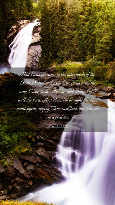 Picture 03 - 1 Kings 2:30 KJV Mobile Phone Wallpaper - And Benaiah came to the tabernacle of the LORD, - Mobile Bible Verse Wallpaper