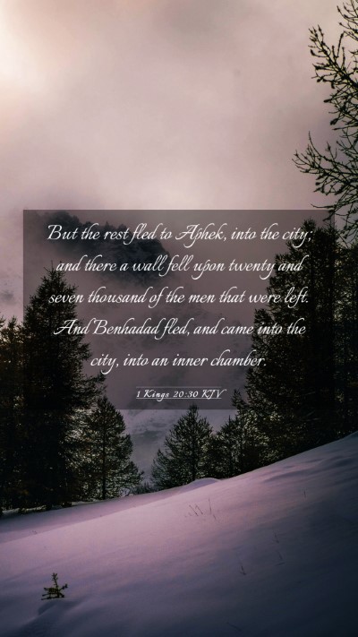 Picture 03 - 1 Kings 20:30 KJV Mobile Phone Wallpaper - But the rest fled to Aphek, into the city; and - Mobile Bible Verse Wallpaper