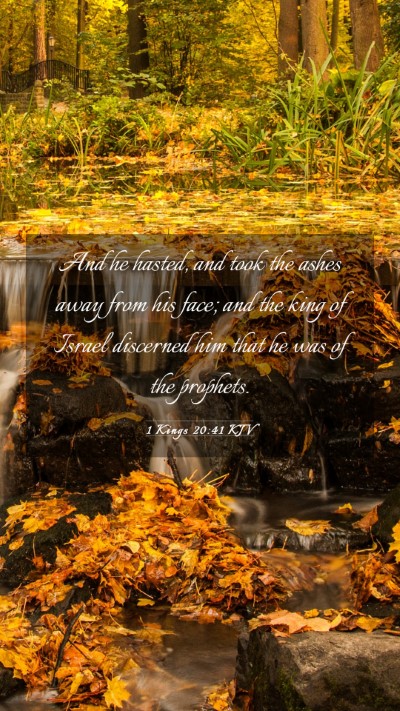 Picture 03 - 1 Kings 20:41 KJV Mobile Phone Wallpaper - And he hasted, and took the ashes away from his - Mobile Bible Verse Wallpaper