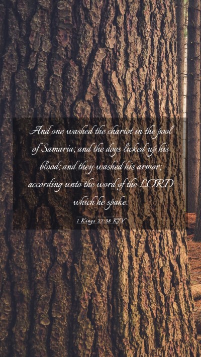 Picture 03 - 1 Kings 22:38 KJV Mobile Phone Wallpaper - And one washed the chariot in the pool of - Mobile Bible Verse Wallpaper