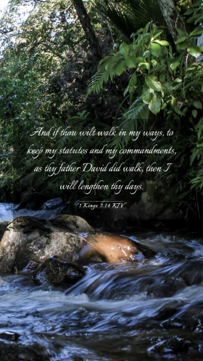 Picture 03 - 1 Kings 3:14 KJV Mobile Phone Wallpaper - And if thou wilt walk in my ways, to keep my - Mobile Bible Verse Wallpaper