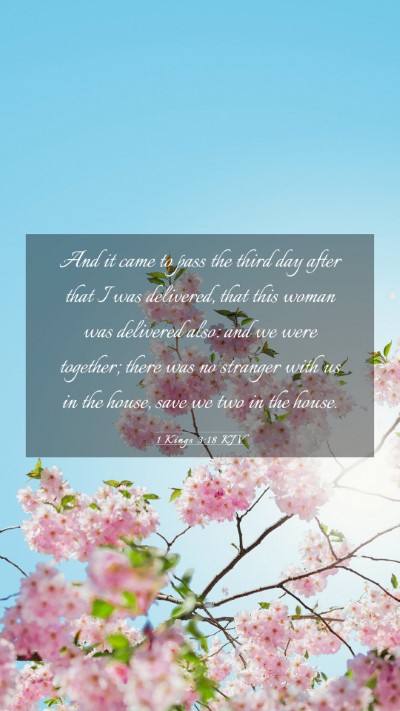 Picture 03 - 1 Kings 3:18 KJV Mobile Phone Wallpaper - And it came to pass the third day after that I - Mobile Bible Verse Wallpaper