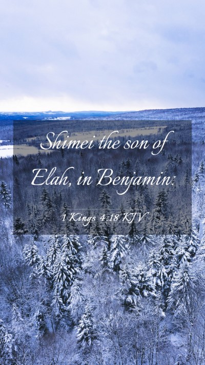 Picture 03 - 1 Kings 4:18 KJV Mobile Phone Wallpaper - Shimei the son of Elah, in - Mobile Bible Verse Wallpaper