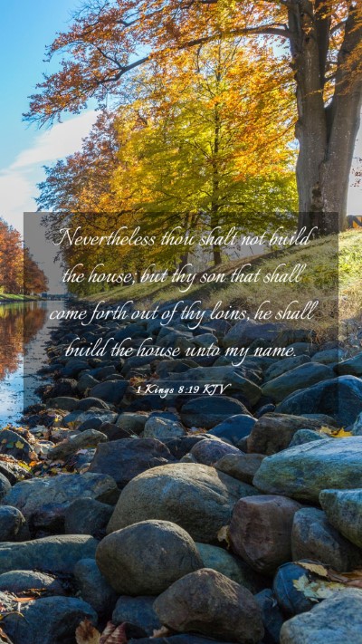 Picture 03 - 1 Kings 8:19 KJV Mobile Phone Wallpaper - Nevertheless thou shalt not build the house; but - Mobile Bible Verse Wallpaper
