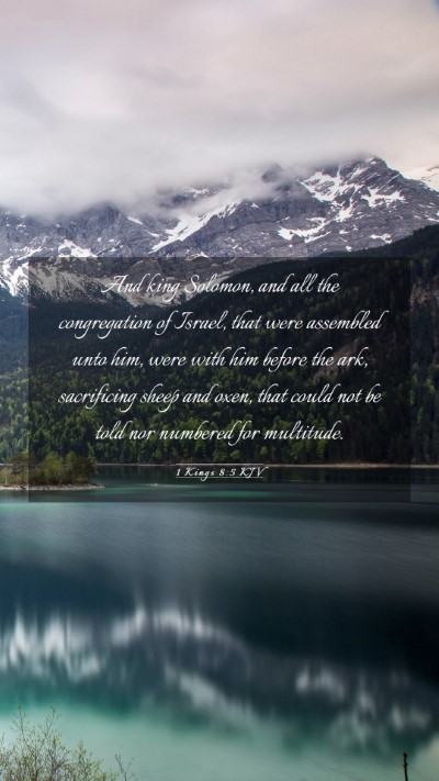 Picture 03 - 1 Kings 8:5 KJV Mobile Phone Wallpaper - And king Solomon, and all the congregation of - Mobile Bible Verse Wallpaper
