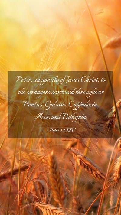 Picture 03 - 1 Peter 1:1 KJV Mobile Phone Wallpaper - Peter, an apostle of Jesus Christ, to the - Mobile Bible Verse Wallpaper