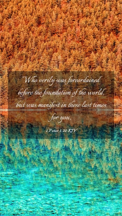 Picture 03 - 1 Peter 1:20 KJV Mobile Phone Wallpaper - Who verily was foreordained before the foundation - Mobile Bible Verse Wallpaper