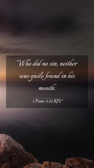 Picture 03 - 1 Peter 2:22 KJV Mobile Phone Wallpaper - Who did no sin, neither was guile found in his - Mobile Bible Verse Wallpaper