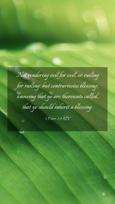 Picture 03 - 1 Peter 3:9 KJV Mobile Phone Wallpaper - Not rendering evil for evil, or railing for - Mobile Bible Verse Wallpaper