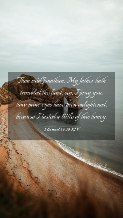 Picture 03 - 1 Samuel 14:29 KJV Mobile Phone Wallpaper - Then said Jonathan, My father hath troubled the - Mobile Bible Verse Wallpaper