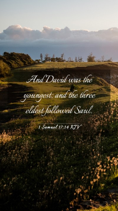 Picture 03 - 1 Samuel 17:14 KJV Mobile Phone Wallpaper - And David was the youngest: and the three eldest - Mobile Bible Verse Wallpaper