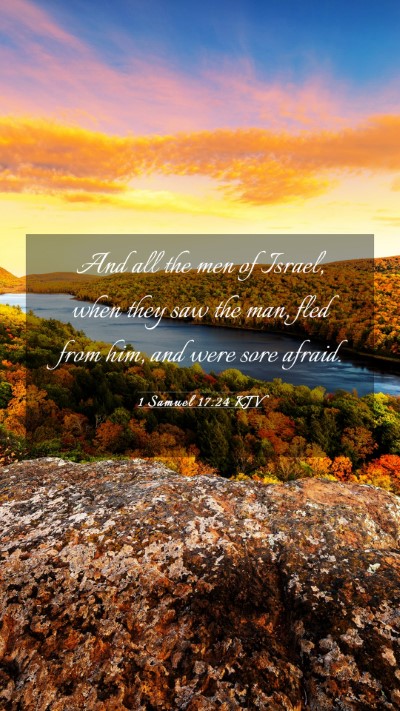 Picture 03 - 1 Samuel 17:24 KJV Mobile Phone Wallpaper - And all the men of Israel, when they saw the man, - Mobile Bible Verse Wallpaper
