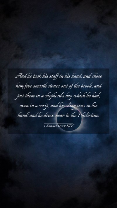 Picture 03 - 1 Samuel 17:40 KJV Mobile Phone Wallpaper - And he took his staff in his hand, and chose him - Mobile Bible Verse Wallpaper