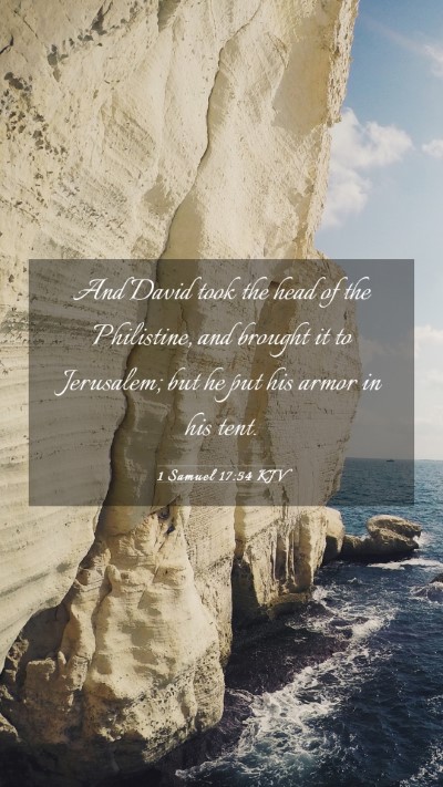 Picture 03 - 1 Samuel 17:54 KJV Mobile Phone Wallpaper - And David took the head of the Philistine, and - Mobile Bible Verse Wallpaper