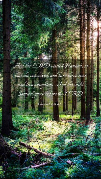 Picture 03 - 1 Samuel 2:21 KJV Mobile Phone Wallpaper - And the LORD visited Hannah, so that she - Mobile Bible Verse Wallpaper