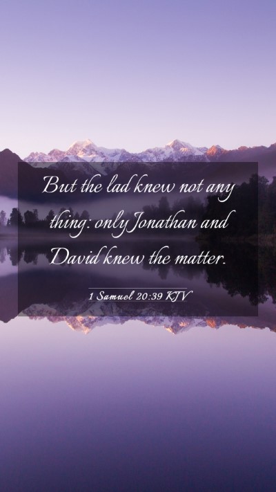 Picture 03 - 1 Samuel 20:39 KJV Mobile Phone Wallpaper - But the lad knew not any thing: only Jonathan and - Mobile Bible Verse Wallpaper