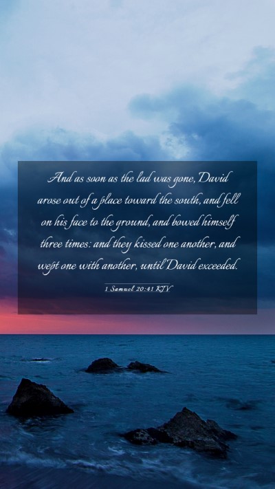 Picture 03 - 1 Samuel 20:41 KJV Mobile Phone Wallpaper - And as soon as the lad was gone, David arose out - Mobile Bible Verse Wallpaper