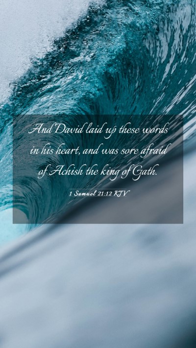 Picture 03 - 1 Samuel 21:12 KJV Mobile Phone Wallpaper - And David laid up these words in his heart, and - Mobile Bible Verse Wallpaper