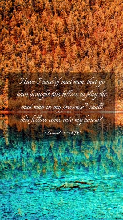 Picture 03 - 1 Samuel 21:15 KJV Mobile Phone Wallpaper - Have I need of mad men, that ye have brought this - Mobile Bible Verse Wallpaper