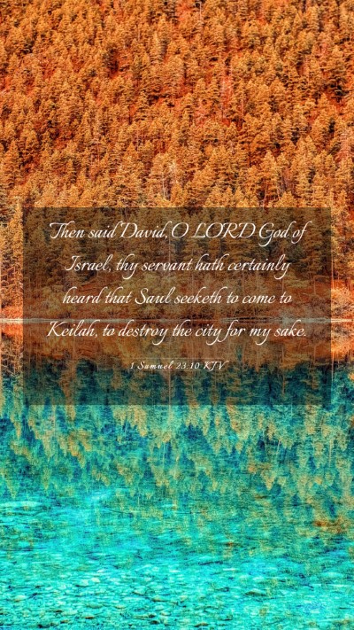 Picture 03 - 1 Samuel 23:10 KJV Mobile Phone Wallpaper - Then said David, O LORD God of Israel, thy - Mobile Bible Verse Wallpaper