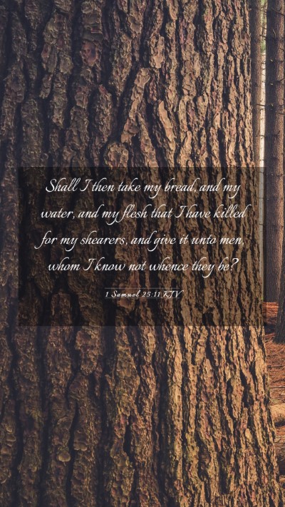 Picture 03 - 1 Samuel 25:11 KJV Mobile Phone Wallpaper - Shall I then take my bread, and my water, and my - Mobile Bible Verse Wallpaper