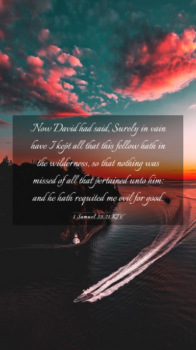 Picture 03 - 1 Samuel 25:21 KJV Mobile Phone Wallpaper - Now David had said, Surely in vain have I kept - Mobile Bible Verse Wallpaper