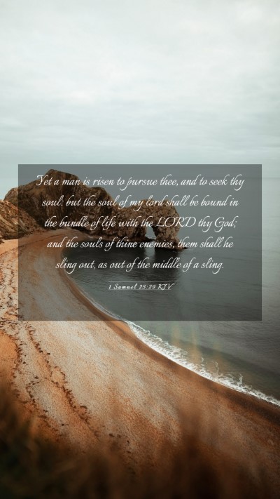 Picture 03 - 1 Samuel 25:29 KJV Mobile Phone Wallpaper - Yet a man is risen to pursue thee, and to seek - Mobile Bible Verse Wallpaper